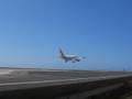 videos de madeira TAP A310 CS-TEW landing Runway 23