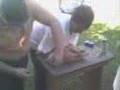 videos de Suinocultura ESALQ