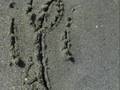 Colgando en tus manos. . . ii *