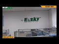 ESKY Honey Bee