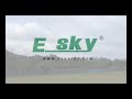 ESKY Honey Bee