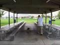 Pastor Belga Malinois video