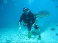 Dykking i Phuket Dykking i Phuket