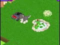 Webkinx Grey Wolf Adoption