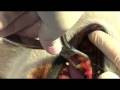 videos de iCplaque - Plaque disclosing swabs