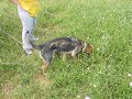 Mas campo con las peques