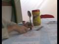 videos de La historia de una cucharilla emo
