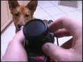 CGRHD reviews ATARI 2600 DRIVING CONTROLLERS