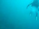 Wrake Dive Wrake Dive
