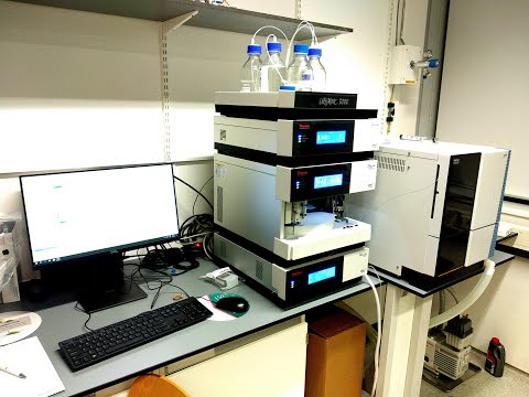 IMAGE ALT TEXT