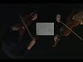Mozart en miroir