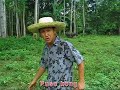 Lintik Lintik