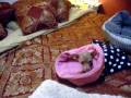 videos de Chihuahua in Kangaroo Pouch