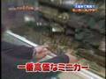 ミニカーコレクター　minicar collector