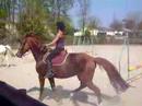 Hurricane et moi