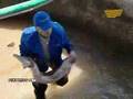 Браконьеры в каспийском море