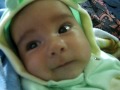 bebe fabian bravo