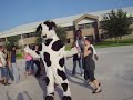 Extreme Cow Energy
