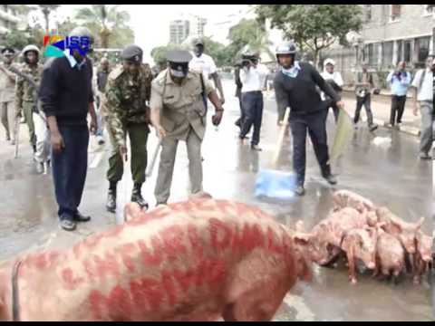 Occupy - The Kenya Society for the Protection and Care of Animals or KSPCA intends to take legal action against Boniface Mwangi, the organiser of the Occupy Parliamen...