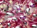 Peter Tosh - \"Legalize it\" - Digital art Peter Tosh - \"Legalize it\" - Digital art