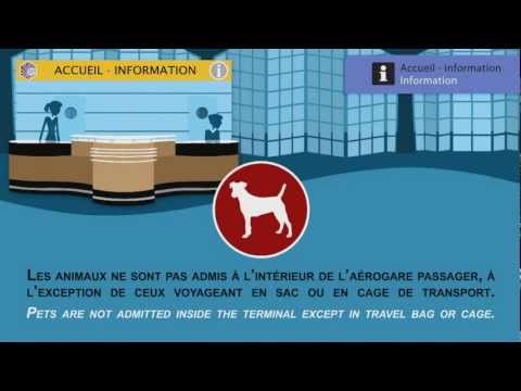 Image de prévisualisation YouTube