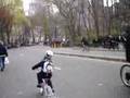 What A Car-Free Central Park Means to a 4 Year Old