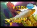 Bloco SubMundo sobre o peixe Dourado de água doce. 