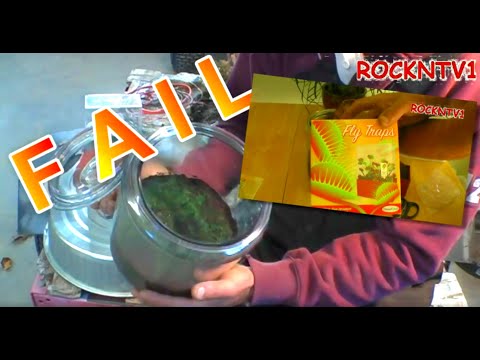 how to harvest venus flytrap seeds
