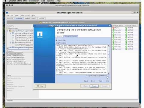 how to use snapmanager for sql