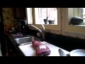 Mike Cooking Fillet Steaks