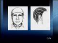 Possible suspect in Tinley Park murders