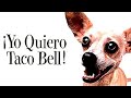 Yo Quiero Taco Bell (1997)