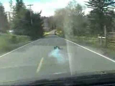 Traxxas Revo 3.3  RC Car Chase