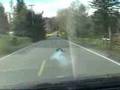 Traxxas Revo 3.3  RC Car Chase