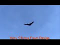 Remote Control Stealth Bomber