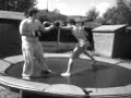 cockey knockout