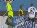 videos de VALDIVIA 
