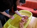 Baby Bath