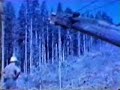 Conway Logging 1