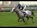 HORSE RACING 2