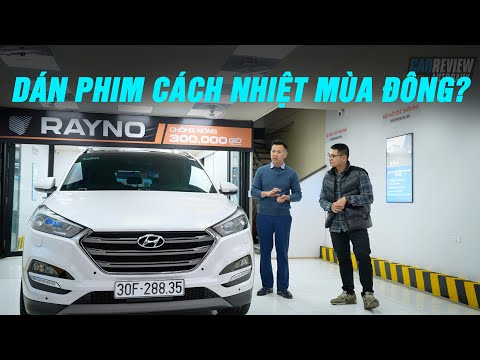 Có nên dán phim cách nhiệt vào mùa đông? Rayno là câu trả lời với nhiều lợi ích bất ngờ!