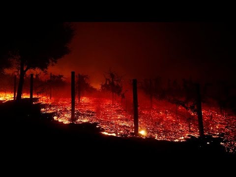 Πυρκαγιά στην Καλιφόρνια – Εκκενώνονται οι βίλες των αστέρων…