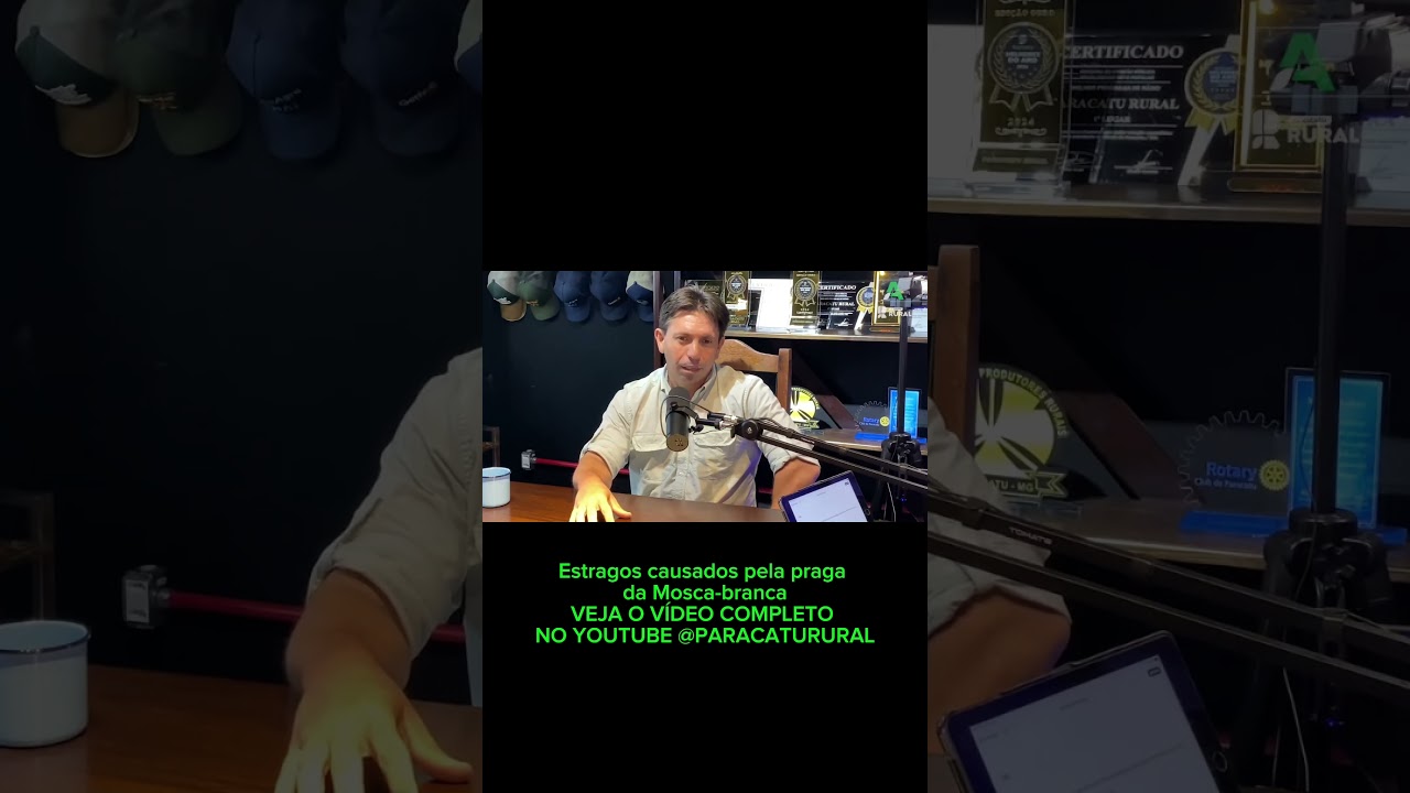 Mosca-Branca X Feijão – Como Evitar Prejuízos?