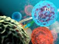Current MS Therapies