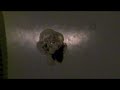 Hotel,Horror,Help,Alberghi in Italia