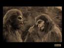 Homo Habilis, Homo Ergaster Or Something...