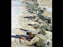 MARINES
