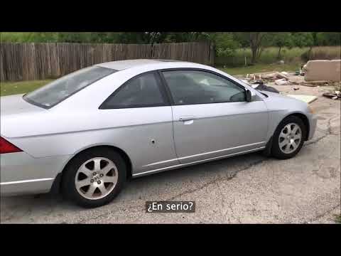 Kobieta przyłapana na gorącym uczynku jak porzuca swoje psy