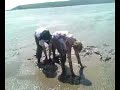 mud fight