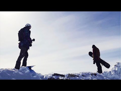 動画